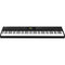 StudioLogic Numa X Piano 88-Key Digital Stage Piano with FATAR TP/110 Keybed