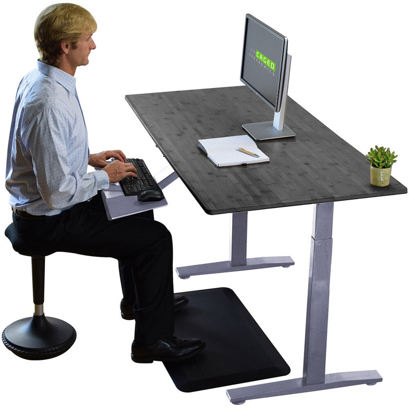 Uncaged Ergonomics Rise Up 2-Stage Electric Height-Adjustable Standing Desk (60 x 30", Gray/Black)