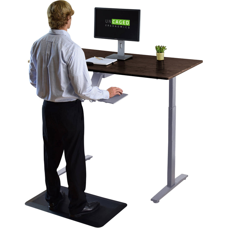 Uncaged Ergonomics Rise Up 2-Stage Electric Height-Adjustable Standing Desk (60 x 30", Gray/Black)