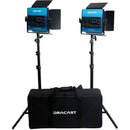 Dracast LED500 X-Series RGB Bi-Color 2-Light Kit with Padded Travel Case