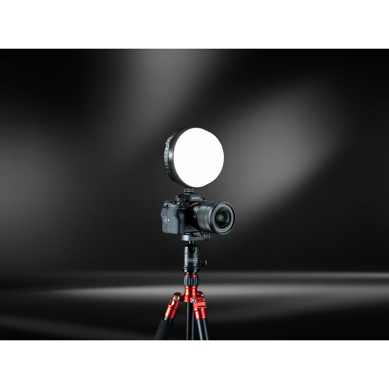 Rotolight NEO 3 On-Camera RGBWW LED Light Ultimate Bundle