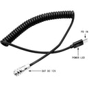 DigitalFoto Solution Limited USB Type-C to 2-Pin Coiled Power Cable for BMPCC