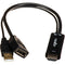 Rocstor HDMI to DisplayPort Adapter