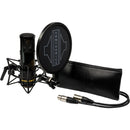 Sontronics STC-20 Large-Diaphragm Condenser Microphone with All-in-One Recording Package