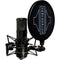 Sontronics STC-2 Large-Diaphragm Condenser Microphone with All-in-One Recording Package (Black)