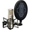 Sontronics STC-2 Large-Diaphragm Condenser Microphone with All-in-One Recording Package (Silver)