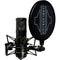 Sontronics STC-20 Large-Diaphragm Condenser Microphone with All-in-One Recording Package