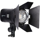 Elinchrom OCF Barndoors for ONE Off-Camera Strobe Light