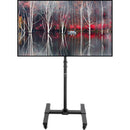 Helder Flat Panel Cart and Stand for 13 to 42" Displays