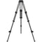 Sachtler 75/2 Carbon Fiber Tripod (75mm)