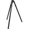 FLM 42-L2 Atlas2-Section Carbon Fiber Tripod with 100mm Bowl Adapter and Half-Ball Leveler Kit