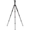 Benro MeFOTO BackPacker Pro 6-in-1 Carbon Fiber Travel Tripod with Photo Ball Head (Black)