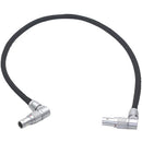 DigitalFoto Solution Limited Rotatable 2-Pin Female to Right-Angle 2-Pin Male Power Cable for RED KOMODO (19")