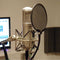 Stedman Proscreen XL Metal Pop Filter