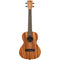 KALA Learn to Play Tenor Ukulele Starter Kit (Mahogany)