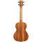 KALA Learn to Play Tenor Ukulele Starter Kit (Mahogany)