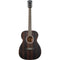 Washburn Deep Forest Folk Acoustic/Electric Guitar (Striped Ebony)