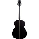 Washburn Deep Forest Folk Acoustic/Electric Guitar (Striped Ebony)