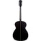 Washburn Deep Forest Folk Acoustic/Electric Guitar (Striped Ebony)