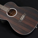 Washburn Deep Forest Folk Acoustic/Electric Guitar (Striped Ebony)