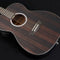 Washburn Deep Forest Folk Acoustic/Electric Guitar (Striped Ebony)