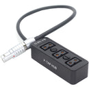 DigitalFoto Solution Limited Power Splitter Cable with 6-Pin LEMO 14.8V Output to D-Tap (11.8")