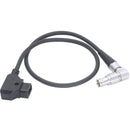 DigitalFoto Solution Limited 360 Swivel Right-Angle Power Cable for RED EPIC (7.9")