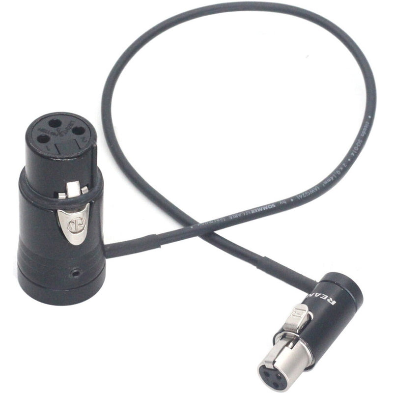 DigitalFoto Solution Limited 3-Pin XLR Female to Mini TA3F XLR Female Audio Cable (1.6')