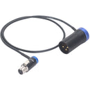 DigitalFoto Solution Limited 3-Pin XLR Male to Mini TA3F XLR Female Audio Cable (1.6')