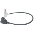 DigitalFoto Solution Limited D-Tap to 1B 6-Pin Power Cable for Select RED Cameras (1.6')