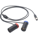 DigitalFoto Solution Limited TA5F Mini XLR Female to Dual Short 3-Pin XLR Male Conversion Cable (3.2')