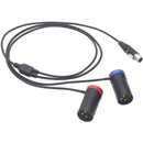 DigitalFoto Solution Limited TA5F Mini XLR Female to Dual Short 3-Pin XLR Male Conversion Cable (3.2')