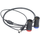 DigitalFoto Solution Limited TA5F Mini XLR Female to Dual Short 3-Pin XLR Male Conversion Cable (3.2')