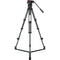 Sachtler System FSB 4 Sideload and 75/2 CF Tripod Legs with Ground Spreader and Bag