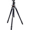 Vanguard VEO 3+ 263AB Aluminum Tripod with VEO BH-160 Ball Head