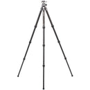 Benro Tortoise Columnless Carbon Fiber Two Series Tripod with GX30 Ball Head