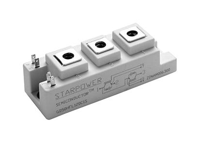 Starpower GD200HFX65C1S GD200HFX65C1S Igbt Module Half Bridge 250 A 1.45 V 612 W 150 &Acirc;&deg;C