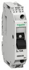 SCHNEIDER ELECTRIC GB2CB06 Thermal Magnetic Circuit Breaker, TeSys GB2 Series, 250 V, 48 V, 1 A, 1 Pole, DIN Rail, Panel