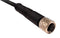 BULGIN PXPPVC05FBF04ACL010PVC Sensor Cable, M5 Sensor Straight 4 Position Receptacle, Free Ends, 1 m, 3.3 ft, Buccaneer M5 Series