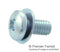 NETTLEFOLDS SEM03030006FA Machine Screw, M3, Steel, 6 mm, Bright Zinc, Pan Head Pozidriv