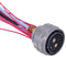 Amphenol Industrial ALM06FQ19-31S(LQ) ALM06FQ19-31S(LQ) Circular Connector Plug 19-31 Cable