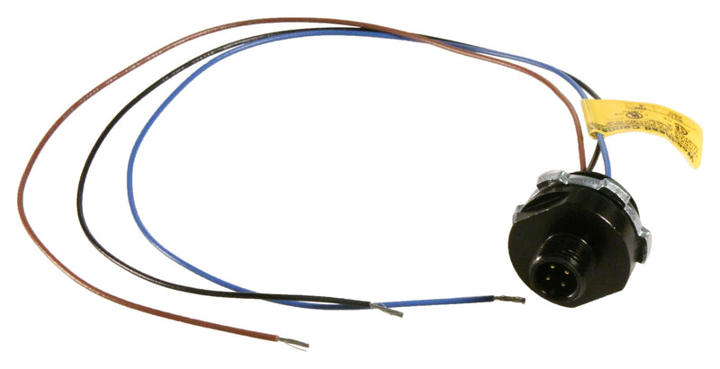 Brad - A Molex Company 120070-4011 Sensor Cable M12 Receptacle to Free End 500 mm 19.7 " 120070 Series