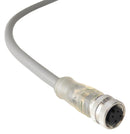 Bulgin Limited PXPPNP12FBF04ACL050PVC. Sensor Cord 4P M12 RCPT-FREE END 16.4